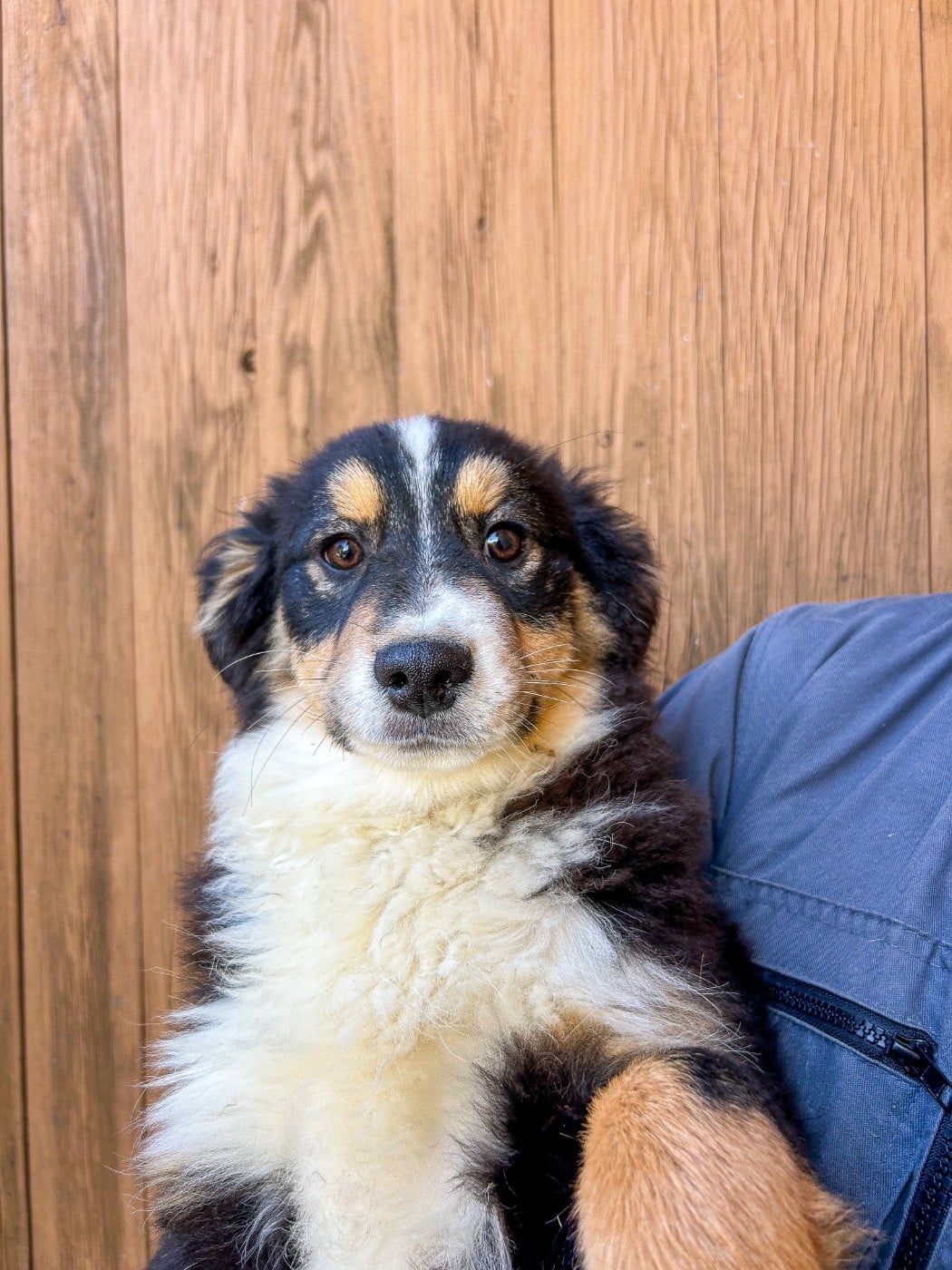 ASLO KINGDOM OF MARGAIL