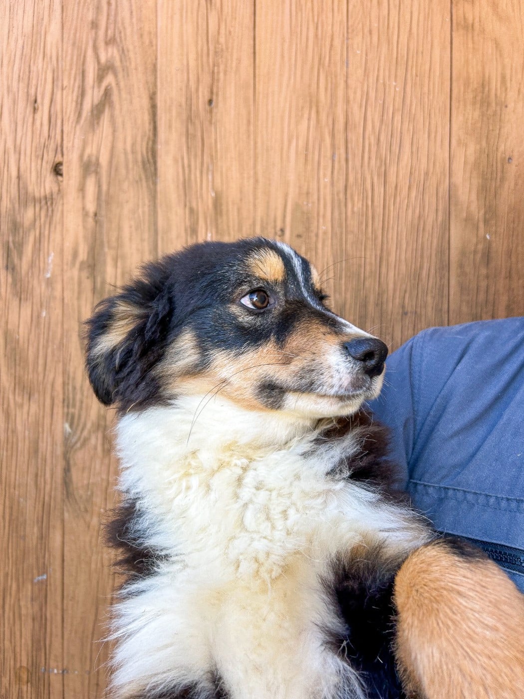 ASLO KINGDOM OF MARGAIL