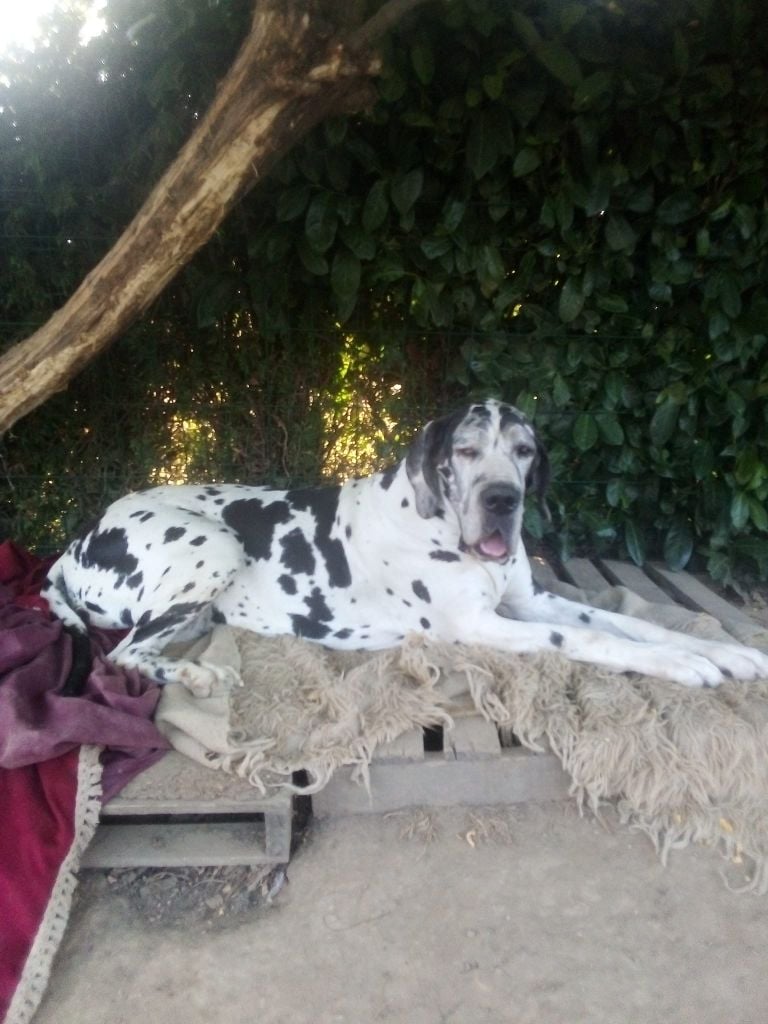 Publication : Du Vert De Jade