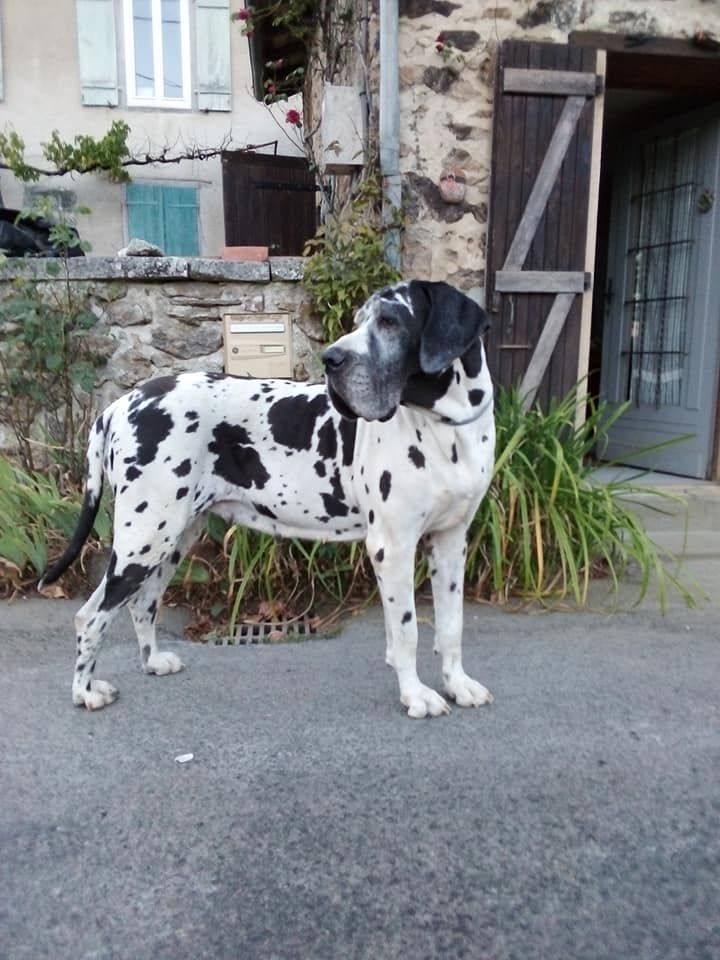 Publication : Du Vert De Jade