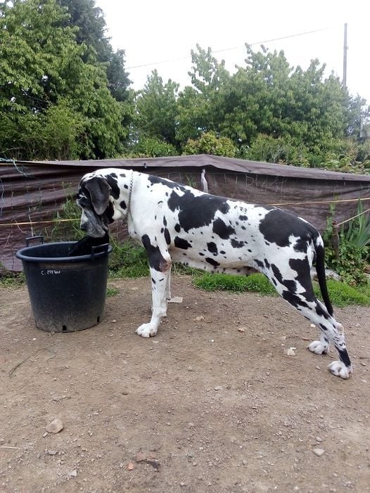 Publication : Du Vert De Jade