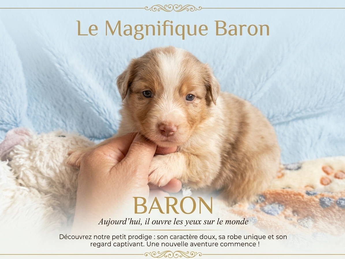 Baron