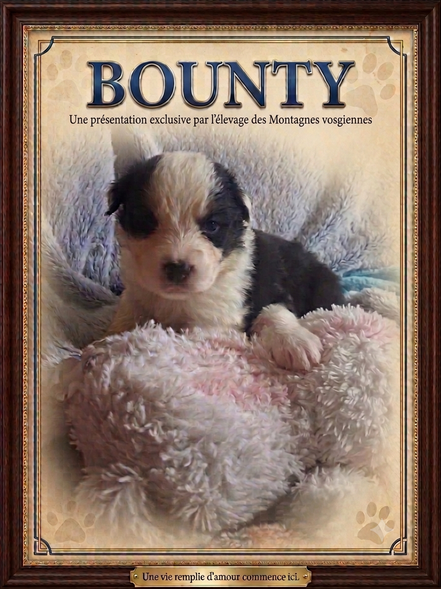 Bounty
