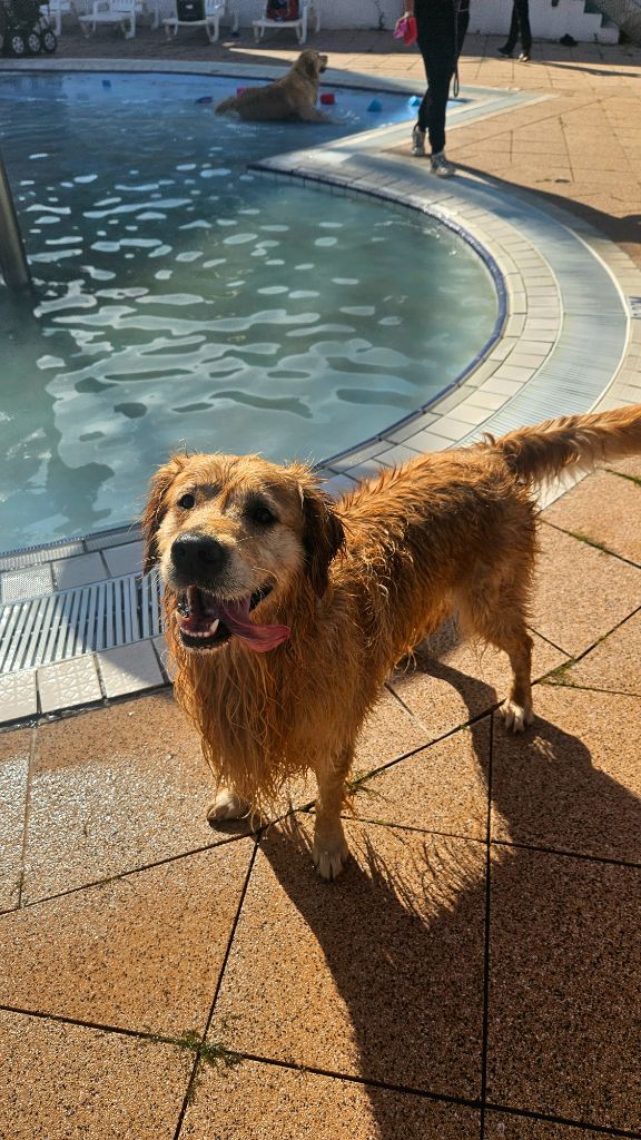 Publication : (Sans Affixe) Auteur : Solène Karamol