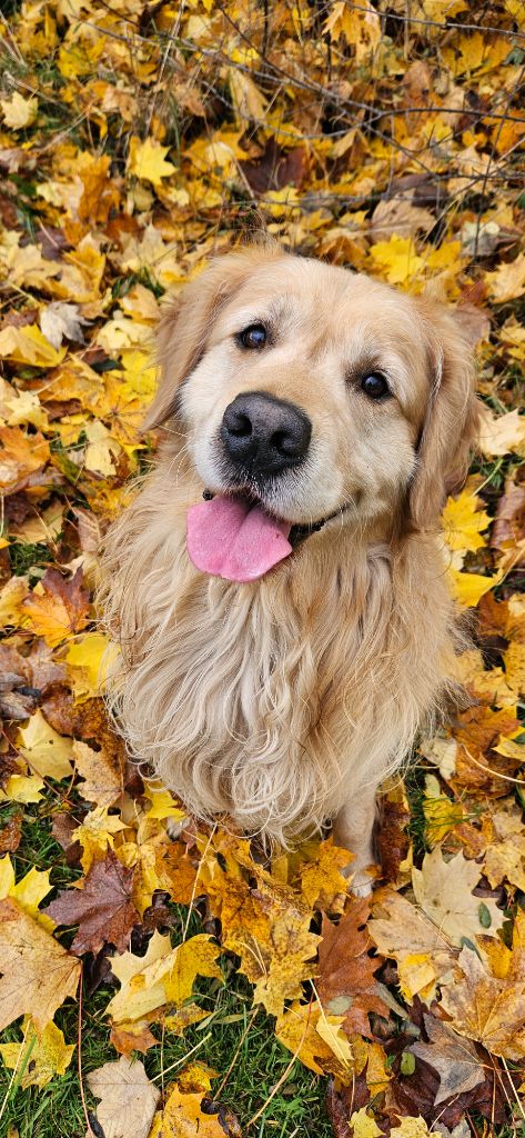 Publication : (Sans Affixe) Auteur : Solène Karamol