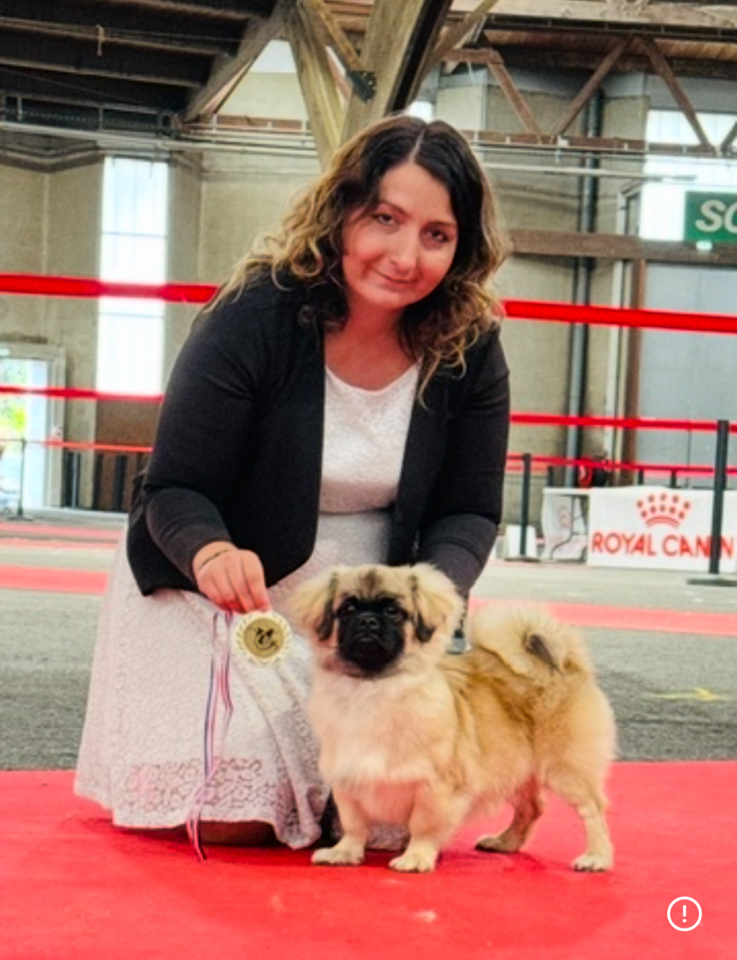 ASKO DE DAME NATURE Titre Initial - Meilleur puppy