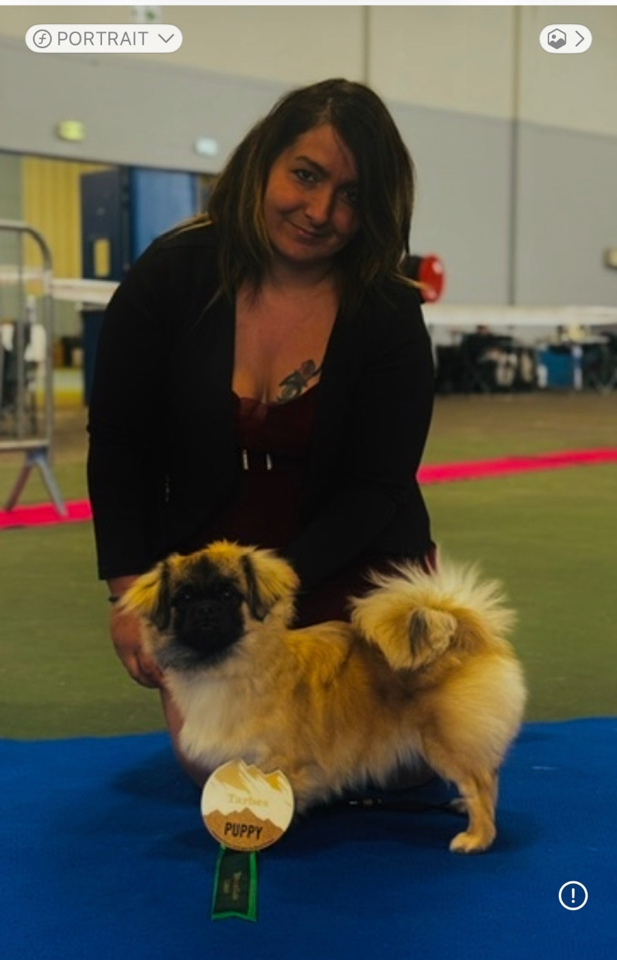 ASKO DE DAME NATURE Titre Initial - Meilleur puppy