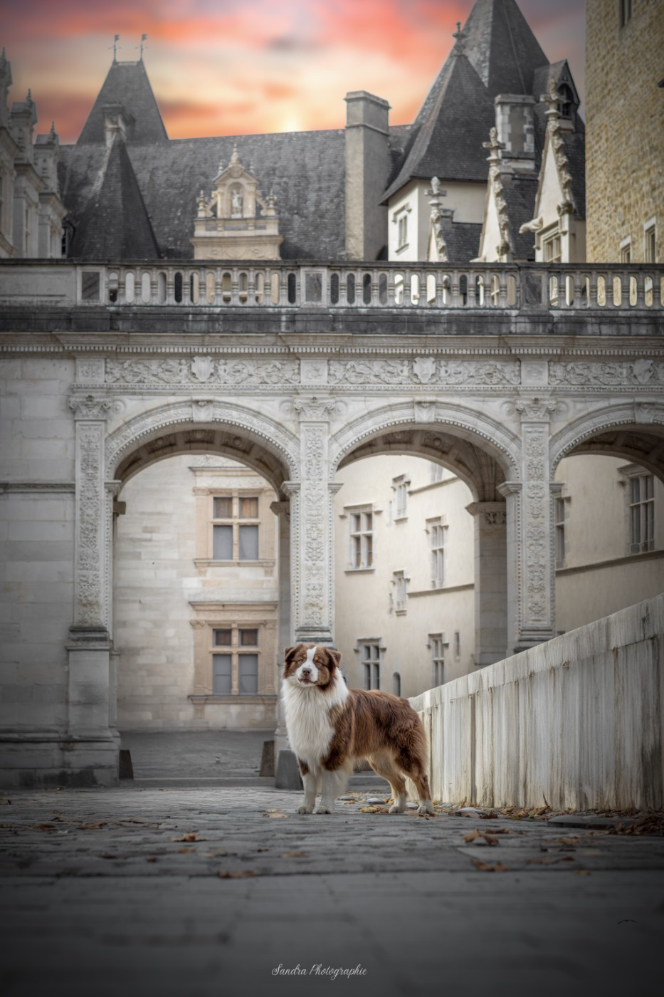 Unchain my heart From The Sweet Dream Of A Lifetime