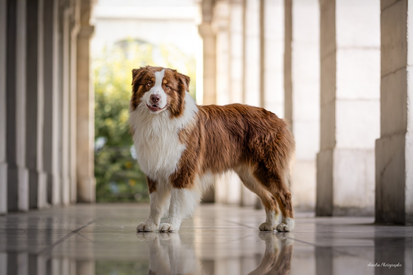 Unchain my heart From The Sweet Dream Of A Lifetime