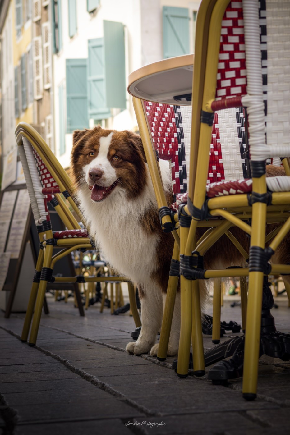 Unchain my heart From The Sweet Dream Of A Lifetime