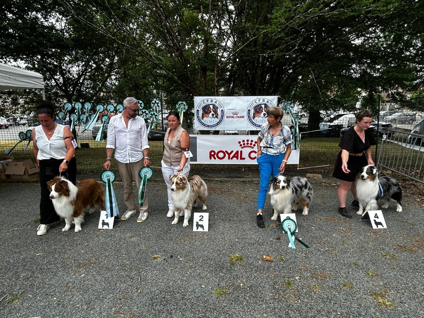 Unchain my heart From The Sweet Dream Of A Lifetime - 1er EXC Meilleur Travail