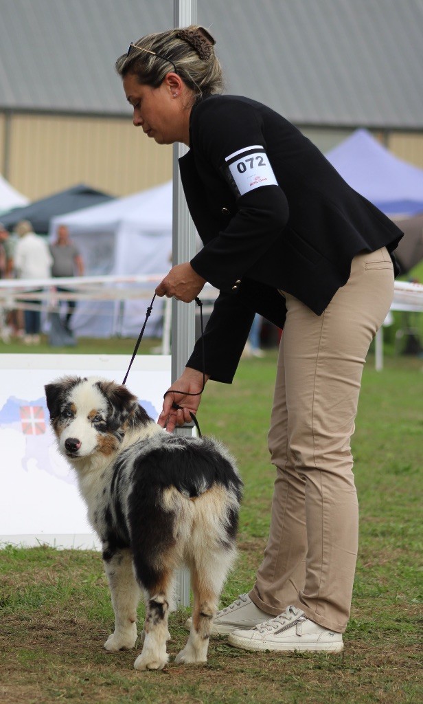 Aimi amour for crispy Of Wolf Descendants