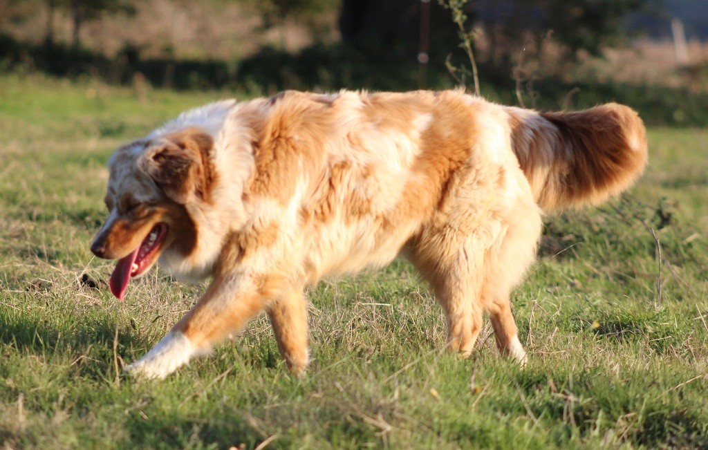 Toundra (Sans Affixe)