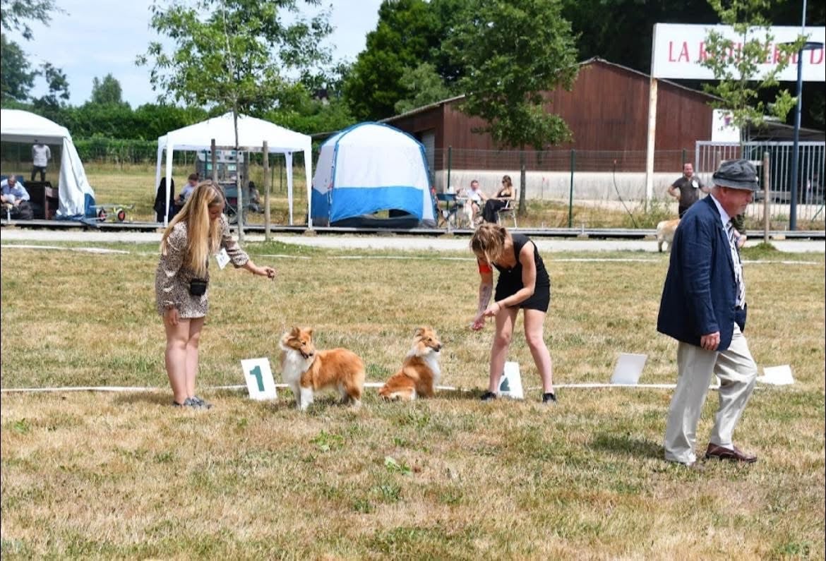 Victoire des petites fées des sables - 1ère très prometteur Meilleur puppy