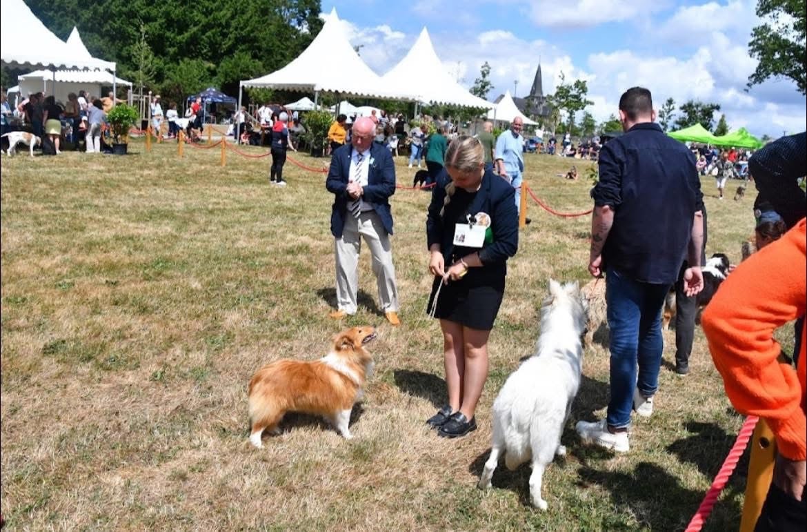 Victoire des petites fées des sables - 1ère très prometteur Meilleur puppy