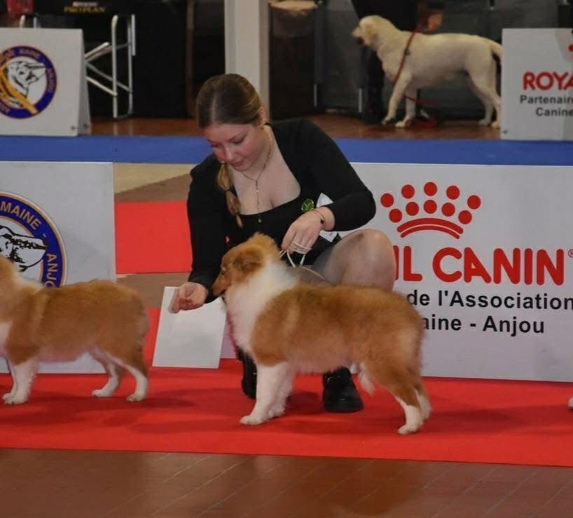 Victoire des petites fées des sables - 2 ème très prometteur