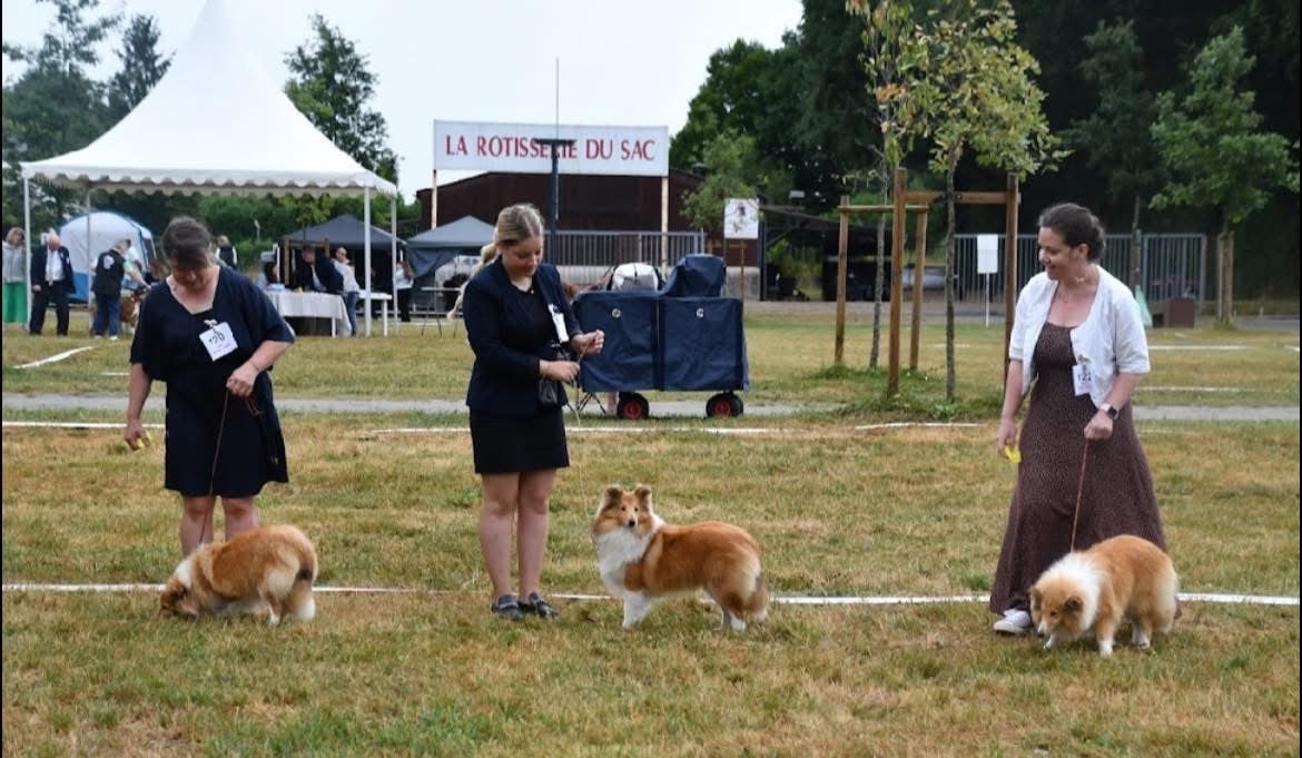 Victoire des petites fées des sables - Très prometteur