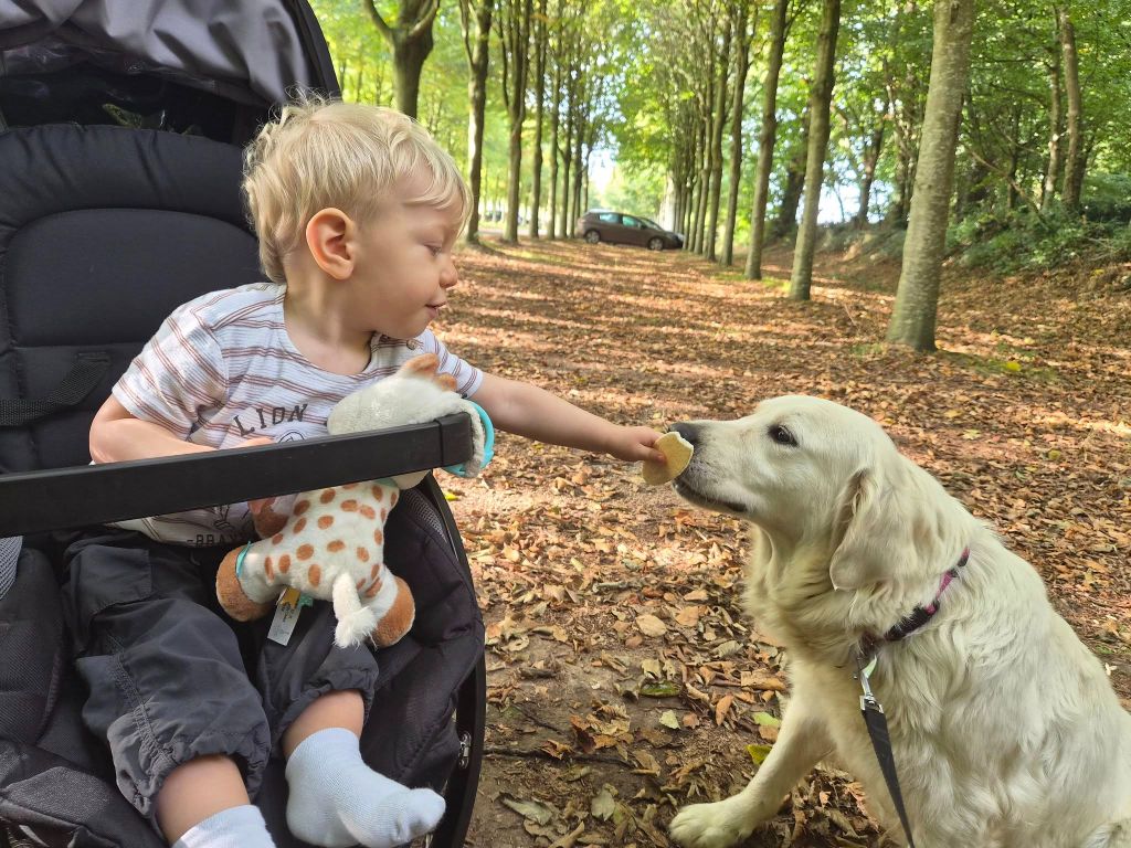 Publication : Des Mille Nuances De Douceur Auteur : Stéphanie DEMELLE
