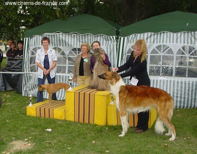 CH. Shéhérazade De aikhanoum - CAC CACIB BOB BOG