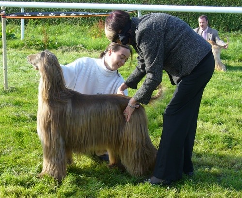 CH. Shéhérazade De aikhanoum - 1ere TB classe travail