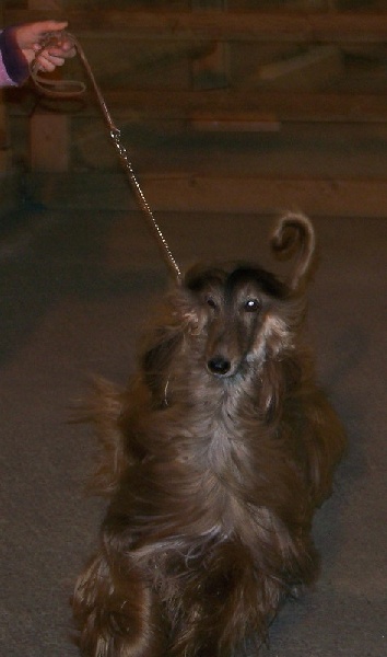 CH. Shéhérazade De aikhanoum - 1ere exc RCAC en classe travail