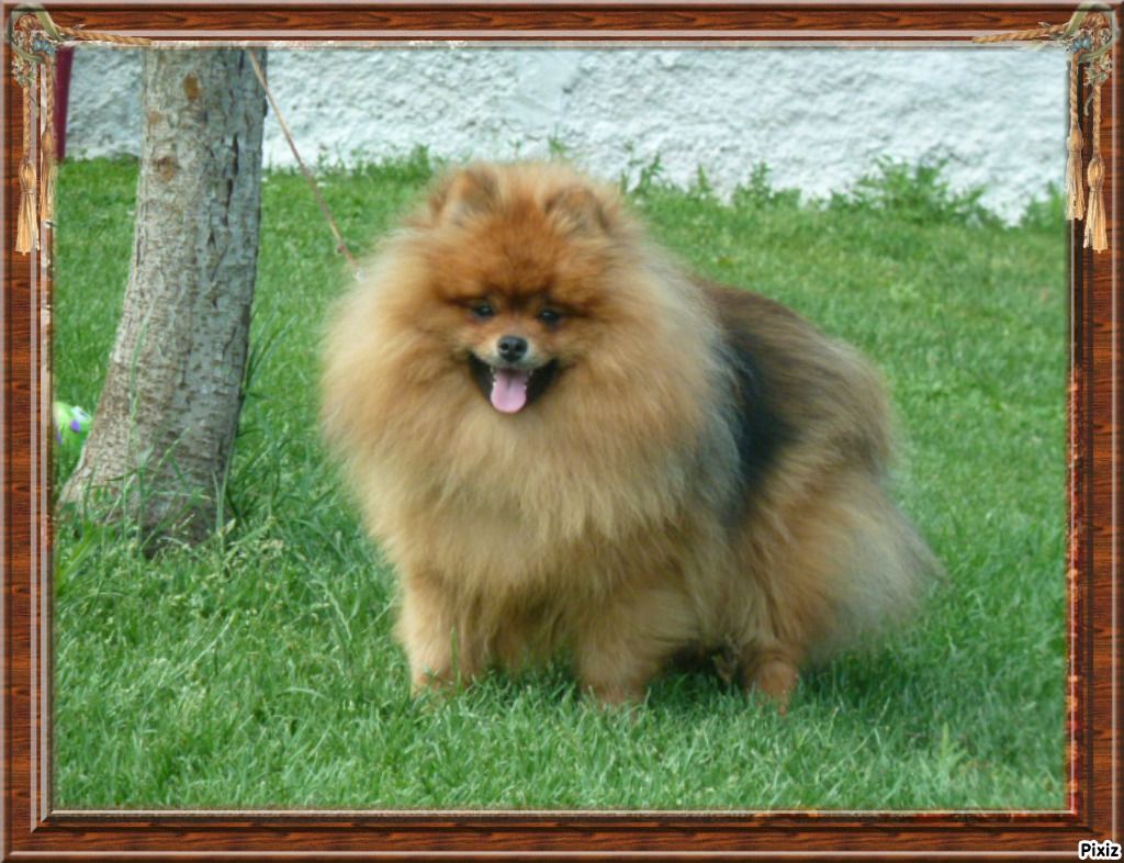 Publication : De sand-pam