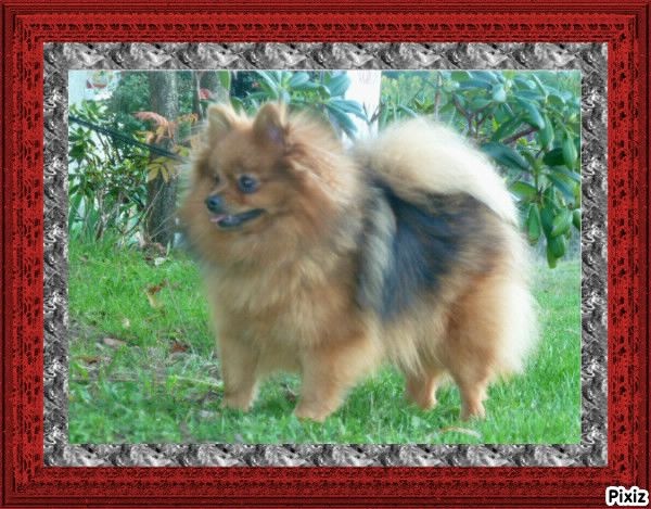 Publication : De sand-pam