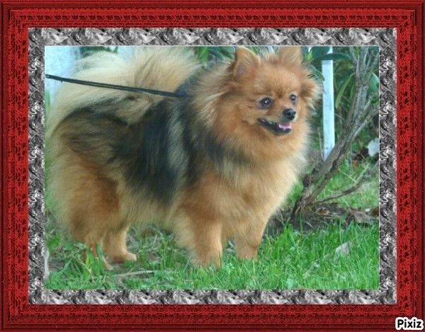 Publication : De sand-pam