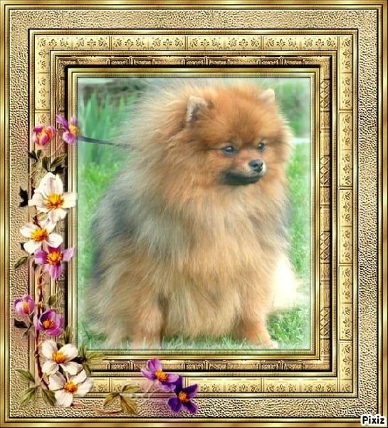 Publication : De sand-pam