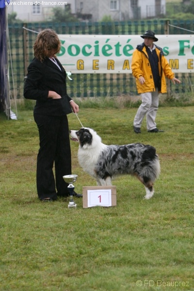 Crystal blue velvet du domaine de Baronniere - 1 EXC/MEILLEUR INTER/MEILLEUR DE RACE / BIS