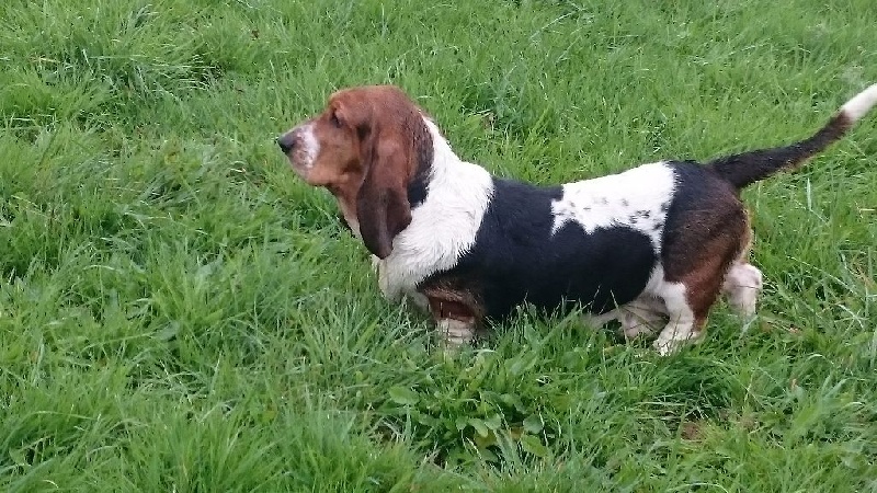 Publication : Des sources sacrees Auteur : Peraleda ludovic