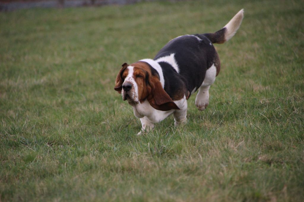 Publication : Des sources sacrees