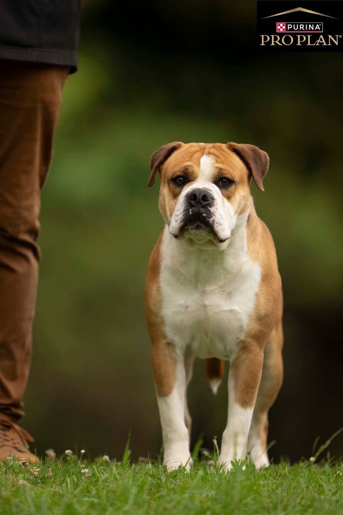 Truman de la Féerie de l'Hermine