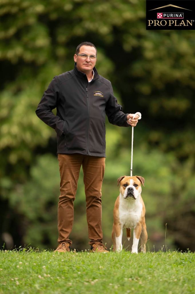 Truman de la Féerie de l'Hermine