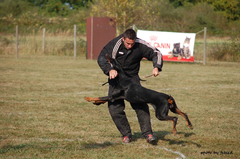 Publication : Von Bolcanstern