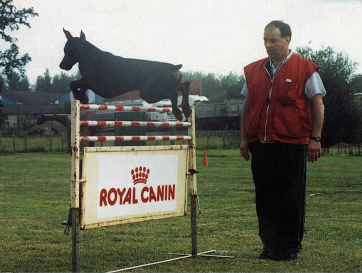 Publication : Von Bolcanstern