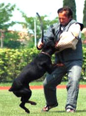 Publication : Von Bolcanstern