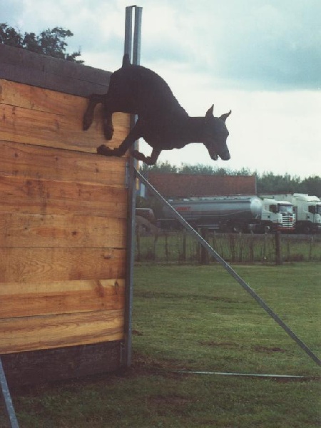 Publication : Von Bolcanstern