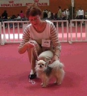 CH. Youpink Of Tierras Calientes -