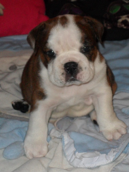 It's my life Of Only You Love