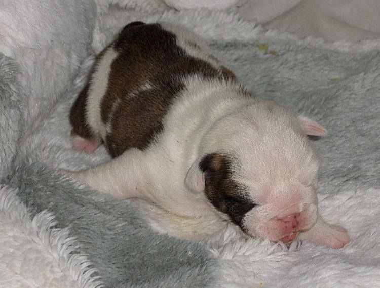 Monica Bellucci Of Only You Love