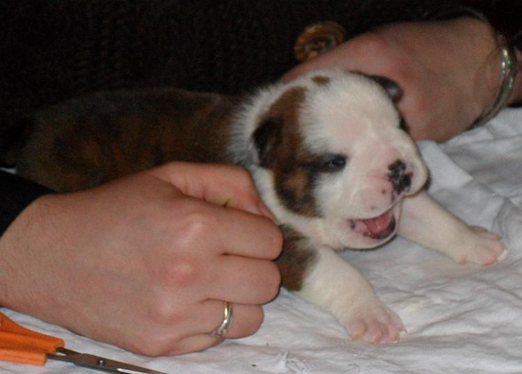 It's my life Of Only You Love