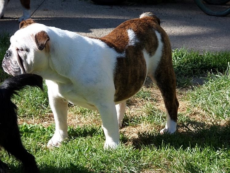 I Can Dance Of Only You Love