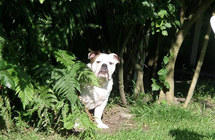 I Can Dance Of Only You Love