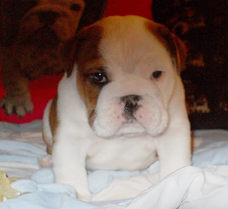 Infinity Of Only You Love