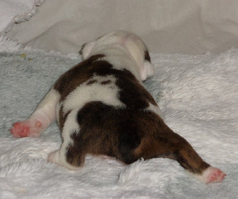 Monica Bellucci Of Only You Love