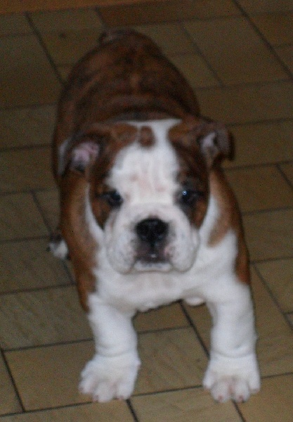 It's my life Of Only You Love