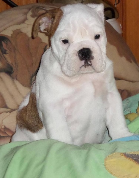 Marilyn Monroe Of Only You Love