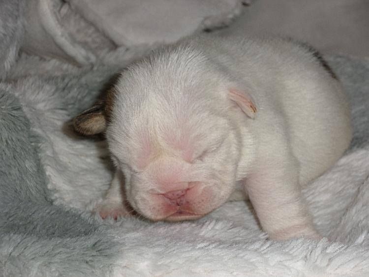 Marilyn Monroe Of Only You Love