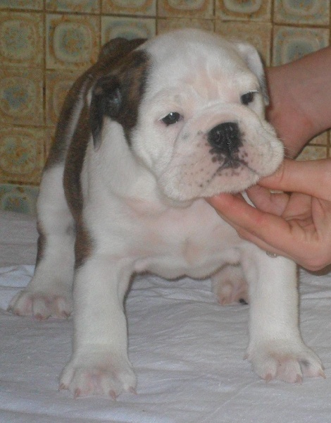 I Can Dance Of Only You Love